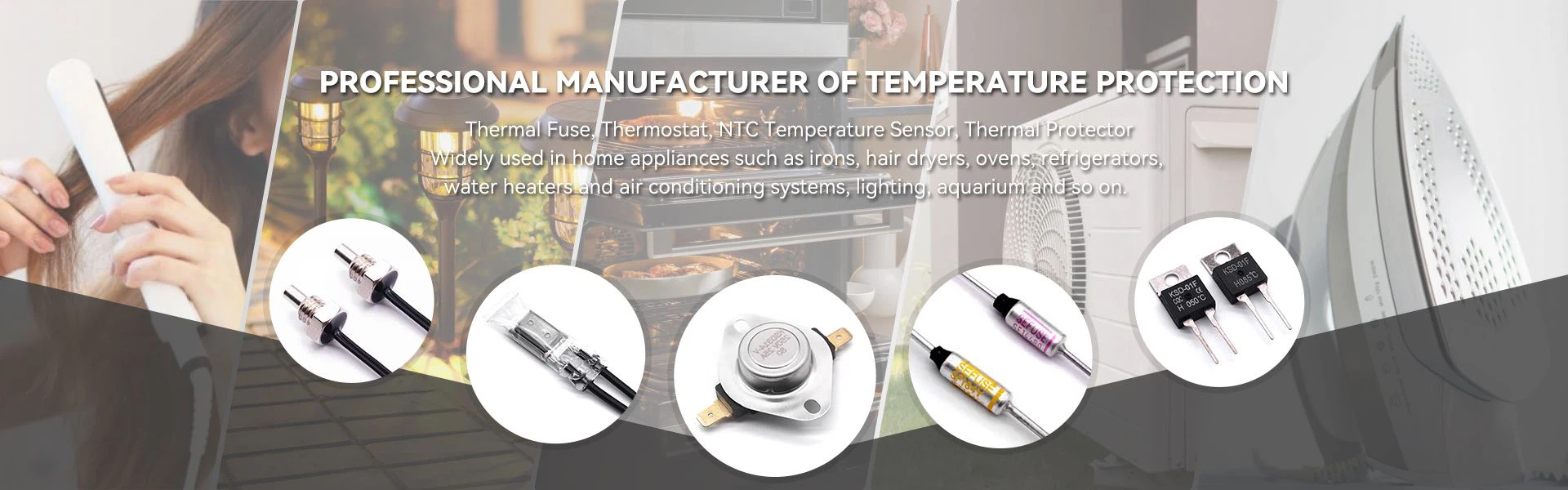 Thermal fuse Thermostat Temperature sensor NTC sensor